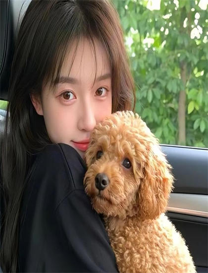 《完美的晚餐》拍摄技巧易懂分析：镜头语言与画面构图探讨